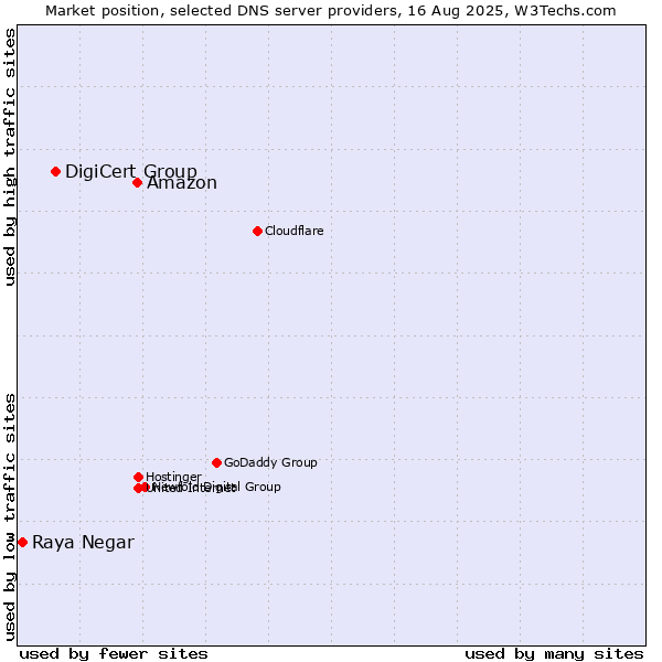 Market position of Amazon vs. DigiCert Group vs. Raya Negar