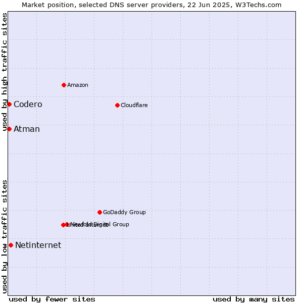 Market position of Netinternet vs. Codero vs. Atman