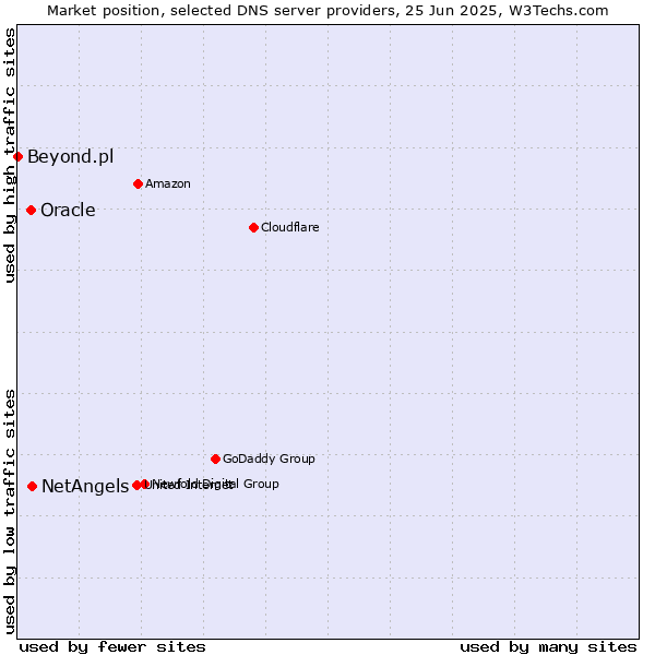 Market position of NetAngels vs. Oracle vs. Beyond.pl