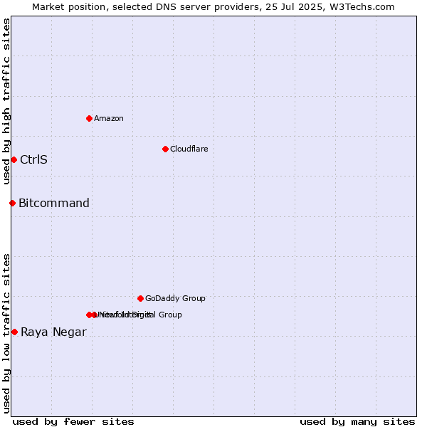 Market position of Raya Negar vs. CtrlS vs. Bitcommand