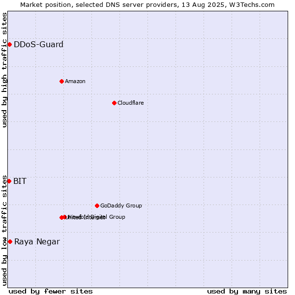 Market position of Raya Negar vs. DDoS-Guard vs. BIT