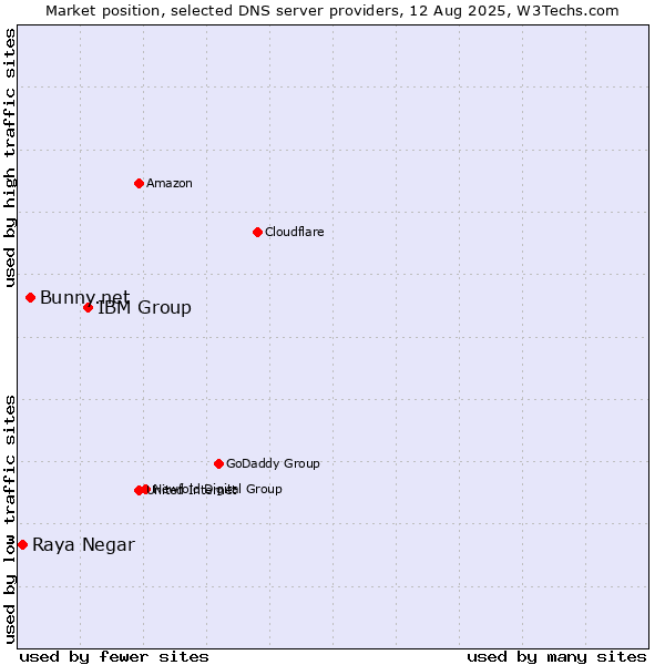 Market position of IBM Group vs. Bunny.net vs. Raya Negar