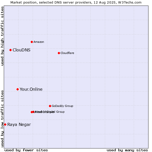 Market position of Your.Online vs. ClouDNS vs. Raya Negar