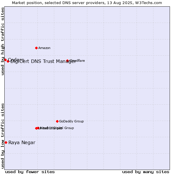 Market position of DigiCert DNS Trust Manager vs. Raya Negar vs. Codero