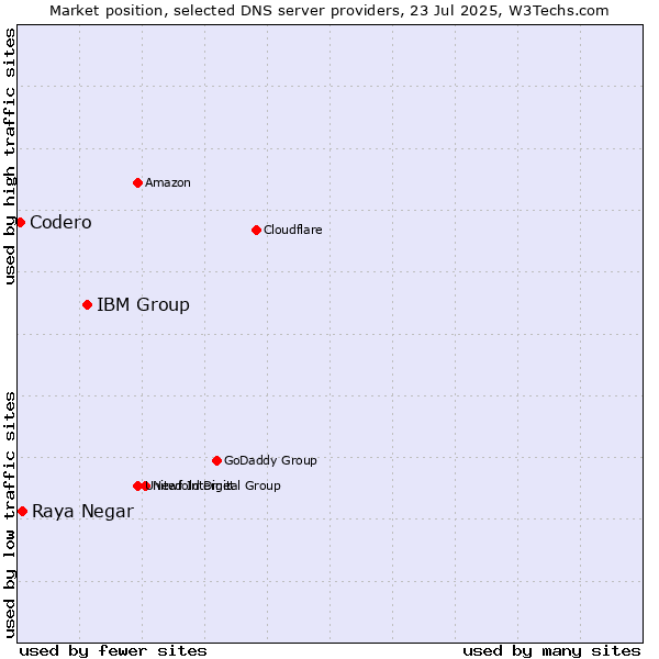 Market position of IBM Group vs. Raya Negar vs. Codero