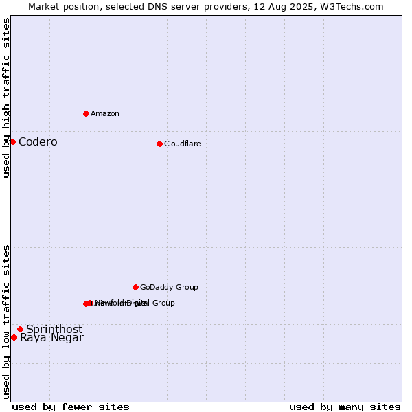 Market position of Sprinthost vs. Raya Negar vs. Codero