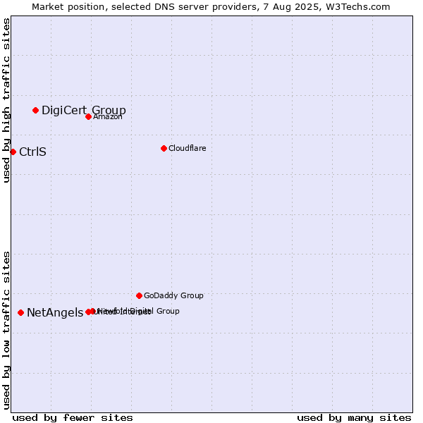 Market position of DigiCert Group vs. NetAngels vs. CtrlS