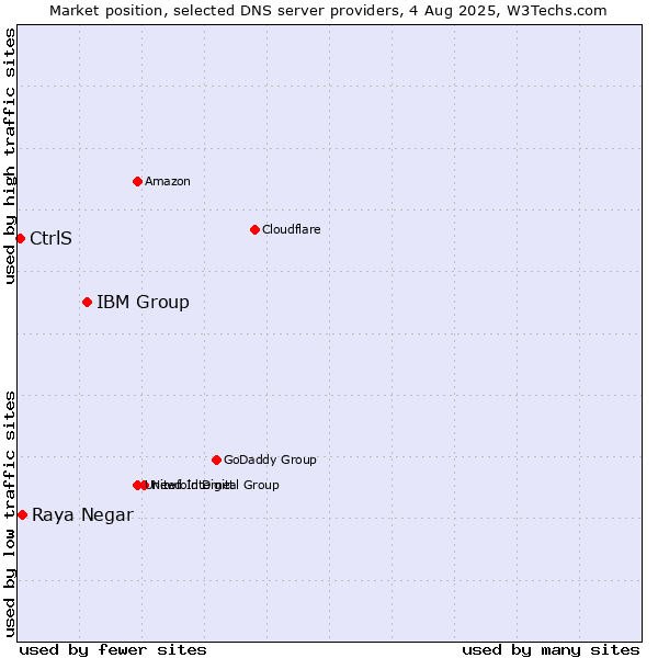 Market position of IBM Group vs. Raya Negar vs. CtrlS