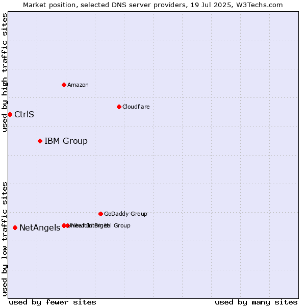 Market position of IBM Group vs. NetAngels vs. CtrlS