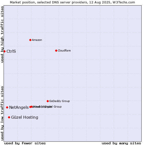 Market position of Güzel Hosting vs. NetAngels vs. CtrlS