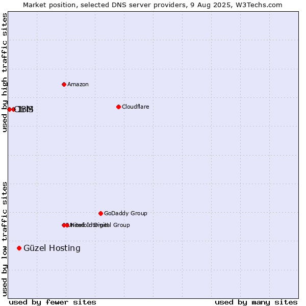 Market position of Güzel Hosting vs. IBM vs. CtrlS