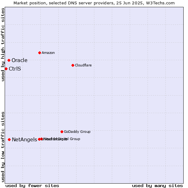 Market position of NetAngels vs. Oracle vs. CtrlS