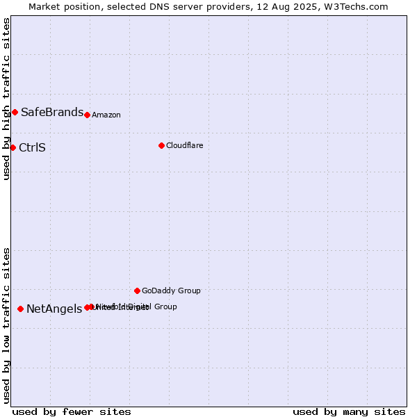 Market position of NetAngels vs. SafeBrands vs. CtrlS