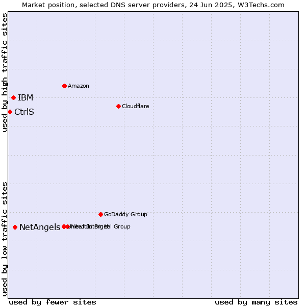 Market position of NetAngels vs. IBM vs. CtrlS