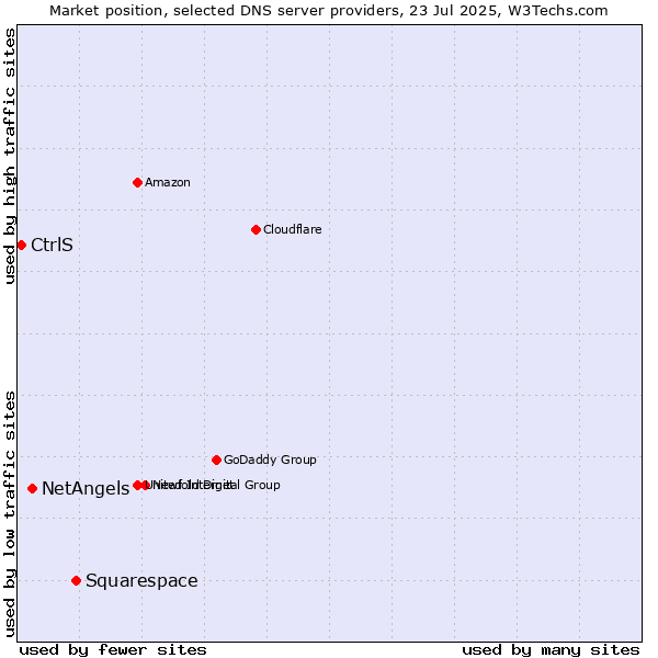 Market position of Squarespace vs. NetAngels vs. CtrlS