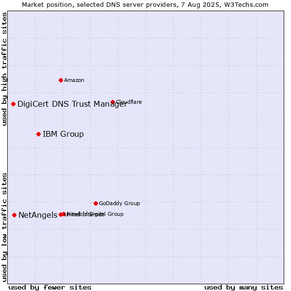 Market position of IBM Group vs. NetAngels vs. DigiCert DNS Trust Manager