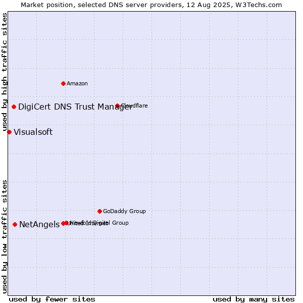 Market position of NetAngels vs. DigiCert DNS Trust Manager vs. Visualsoft