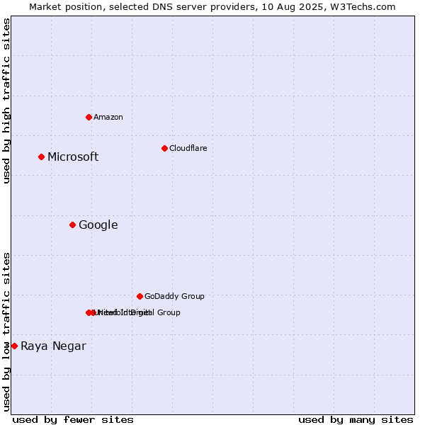 Market position of Google vs. Microsoft vs. Raya Negar