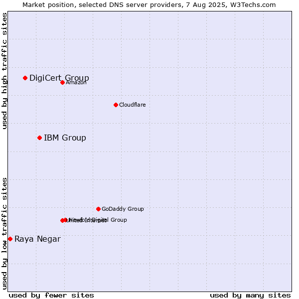 Market position of IBM Group vs. DigiCert Group vs. Raya Negar