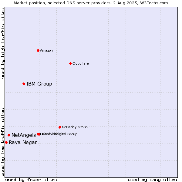 Market position of IBM Group vs. NetAngels vs. Raya Negar