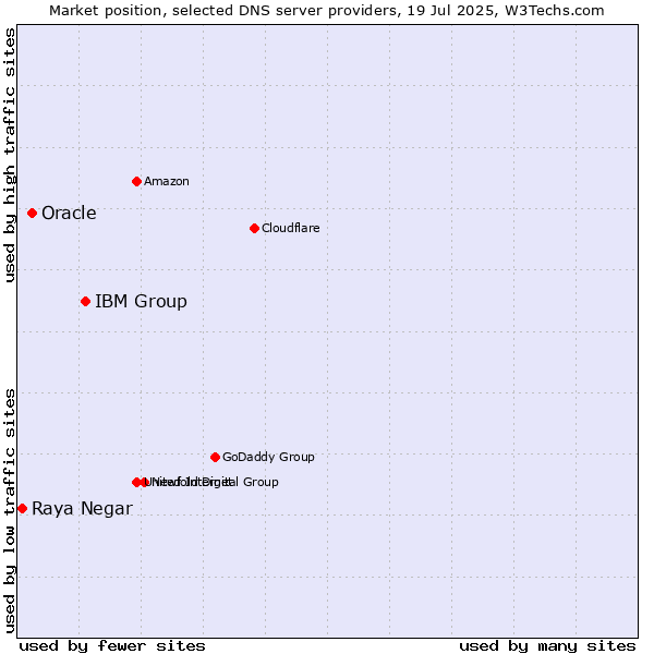 Market position of IBM Group vs. Oracle vs. Raya Negar