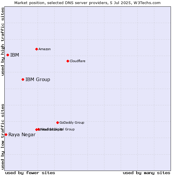 Market position of IBM Group vs. IBM vs. Raya Negar