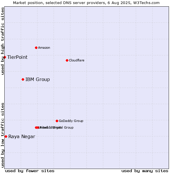 Market position of IBM Group vs. Raya Negar vs. TierPoint