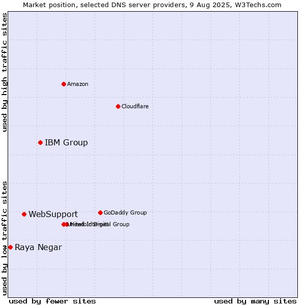 Market position of IBM Group vs. WebSupport vs. Raya Negar