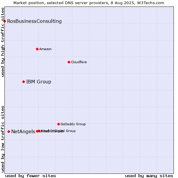 Market position of IBM Group vs. NetAngels vs. RosBusinessConsulting