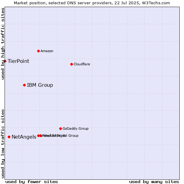 Market position of IBM Group vs. NetAngels vs. TierPoint