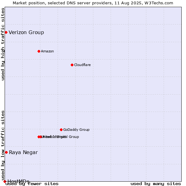 Market position of Raya Negar vs. Verizon Group vs. HostMDs