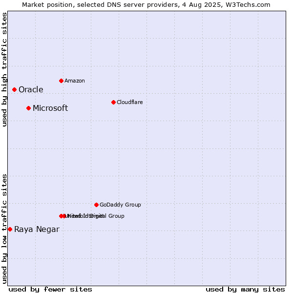 Market position of Microsoft vs. Oracle vs. Raya Negar