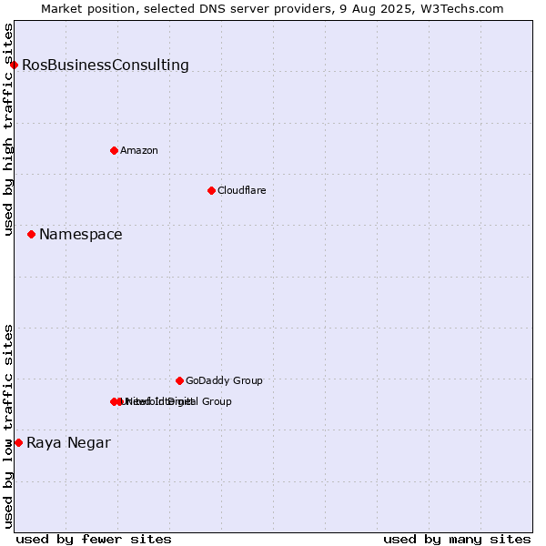 Market position of Namespace vs. Raya Negar vs. RosBusinessConsulting