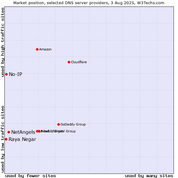 Market position of NetAngels vs. No-IP vs. Raya Negar