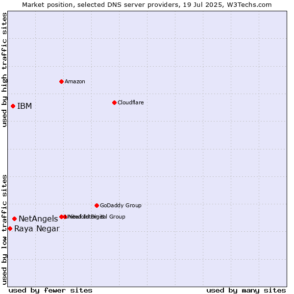 Market position of NetAngels vs. IBM vs. Raya Negar