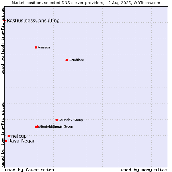 Market position of netcup vs. Raya Negar vs. RosBusinessConsulting