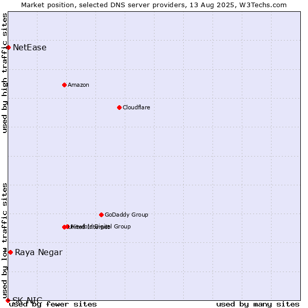 Market position of Raya Negar vs. NetEase vs. SK-NIC