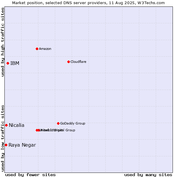 Market position of IBM vs. Nicalia vs. Raya Negar