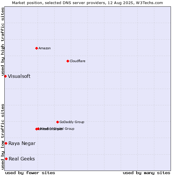 Market position of Real Geeks vs. Raya Negar vs. Visualsoft