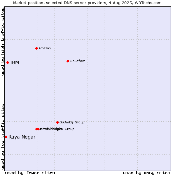 Market position of IBM vs. Raya Negar