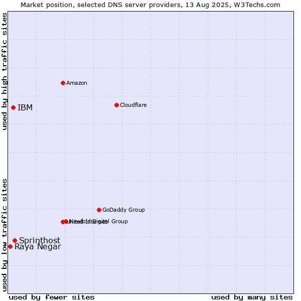 Market position of Sprinthost vs. IBM vs. Raya Negar