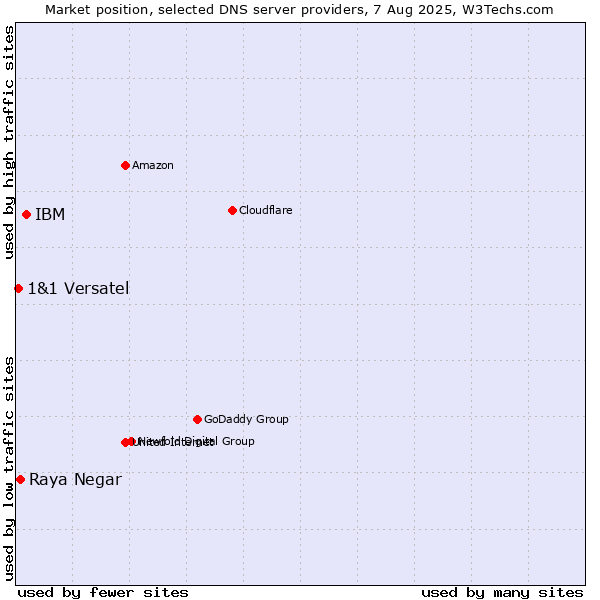 Market position of IBM vs. Raya Negar vs. 1&1 Versatel