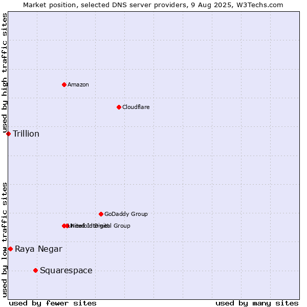 Market position of Squarespace vs. Raya Negar vs. Trillion
