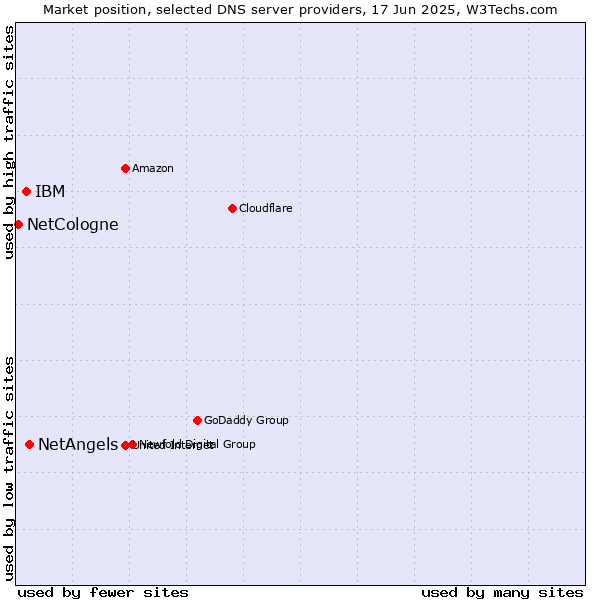 Market position of NetAngels vs. IBM vs. NetCologne