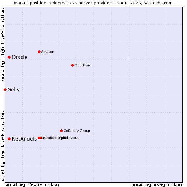 Market position of NetAngels vs. Oracle vs. Selly