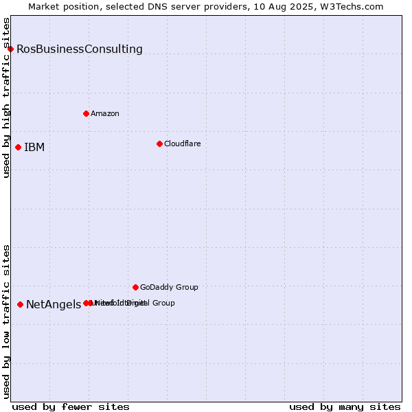 Market position of NetAngels vs. IBM vs. RosBusinessConsulting