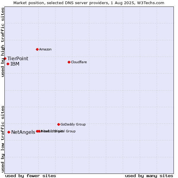 Market position of NetAngels vs. IBM vs. TierPoint
