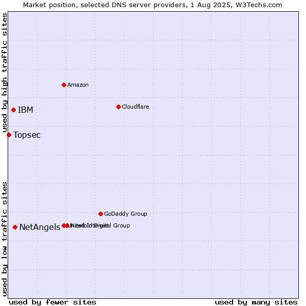 Market position of NetAngels vs. IBM vs. Topsec