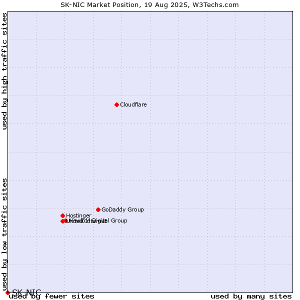 Market position of SK-NIC