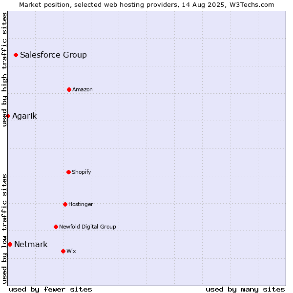 Market position of Salesforce Group vs. Netmark vs. Agarik